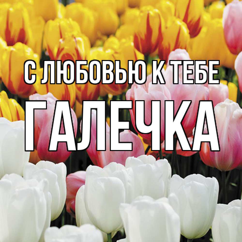 Открытка  с именем. Галечка, С любовью к тебе  