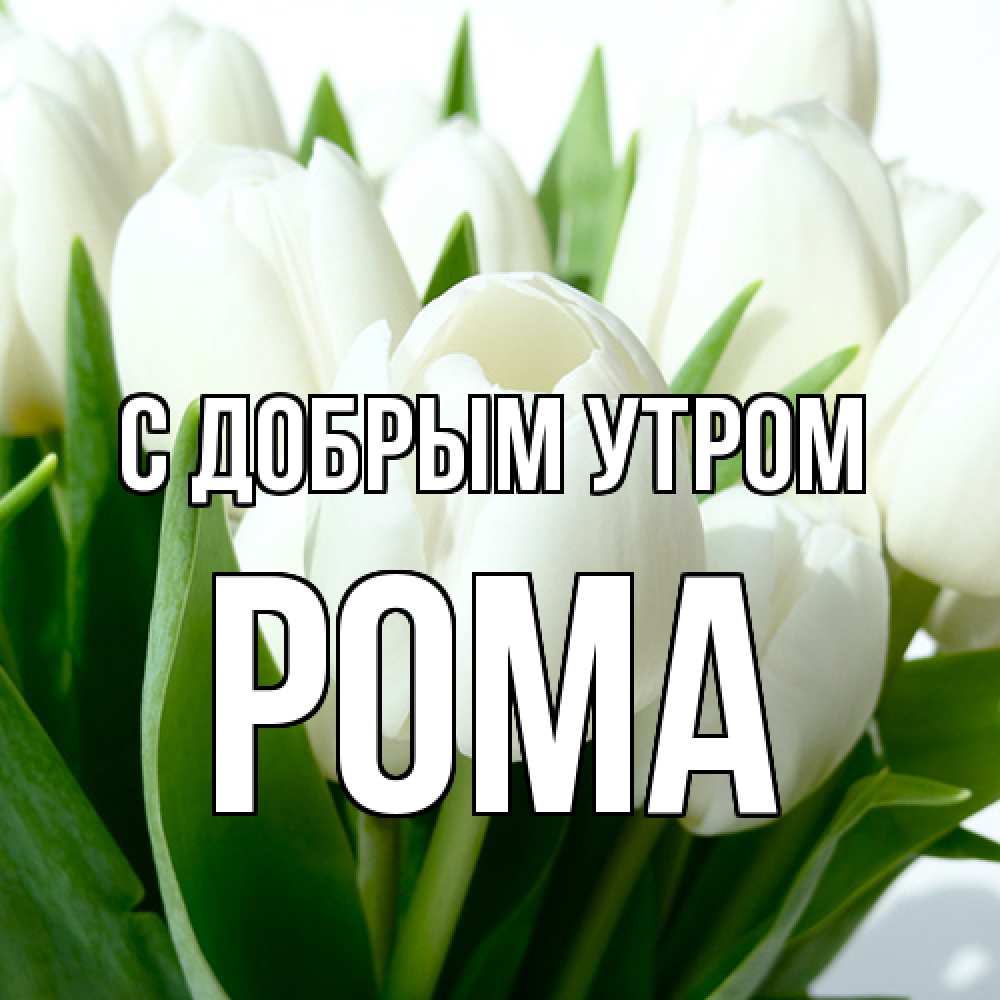 Открытка  с именем. Рома, С добрым утром  
