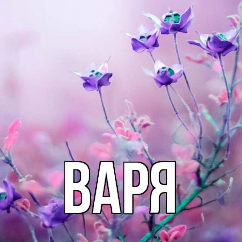 Картинка  с именем , варя
