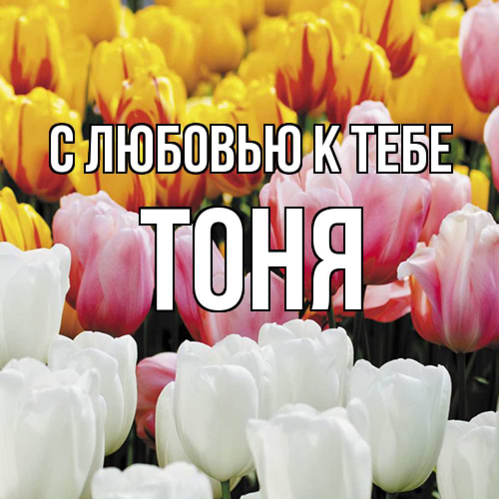 Открытка  с именем. Тоня, С любовью к тебе  