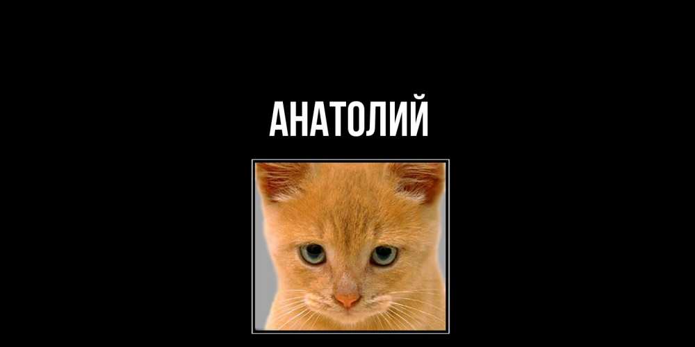 Открытка  с именем. Анатолий, Главная  