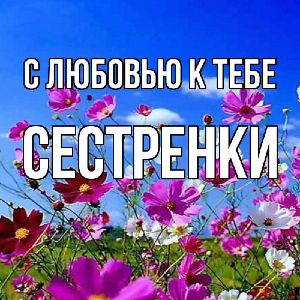 Открытка  с именем. Сестренки, С любовью к тебе  