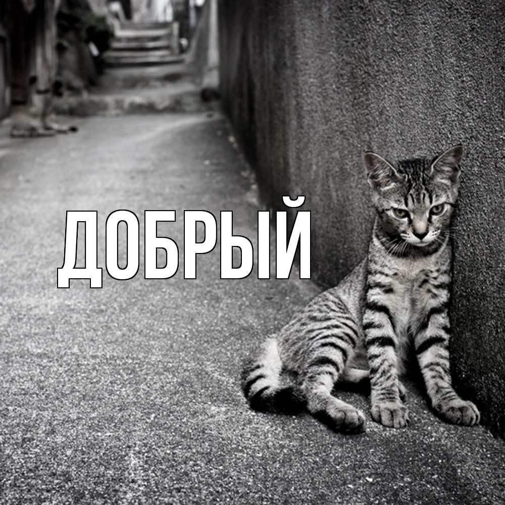 Открытка  с именем. Добрый, Главная  
