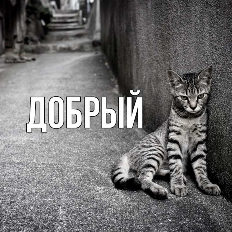 Картинка  с именем , Добрый