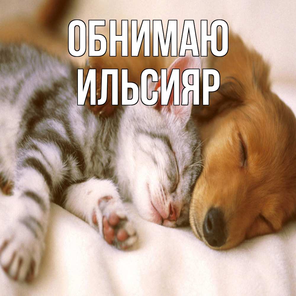 Открытка  с именем. Ильсияр, Обнимаю  