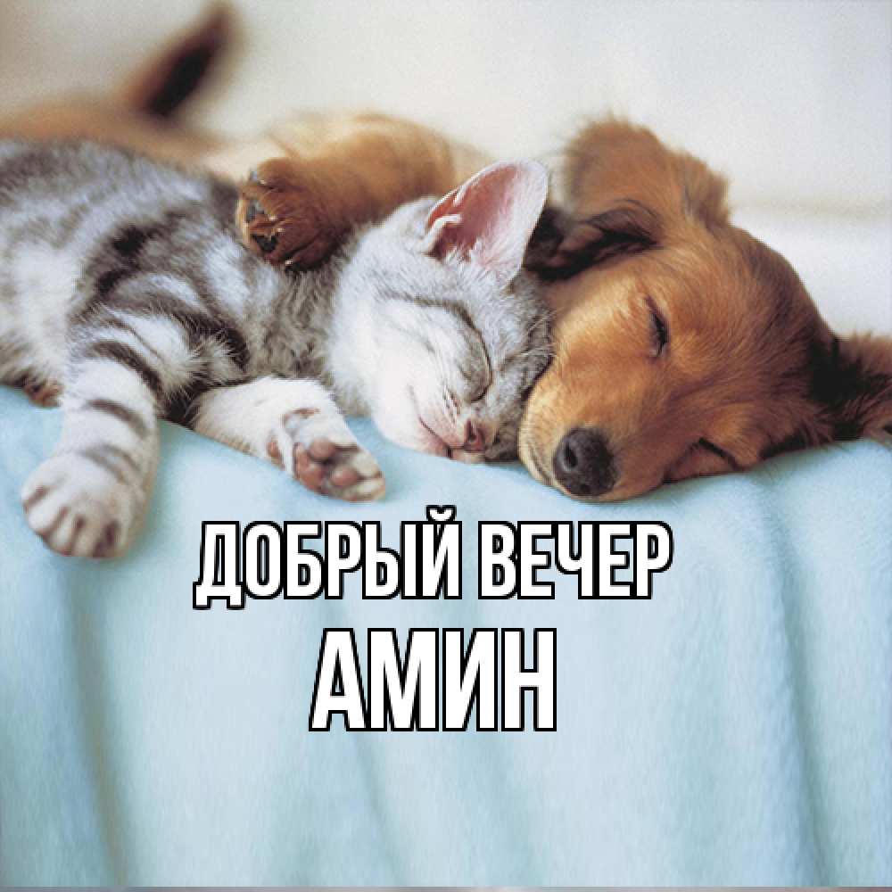 Открытка  с именем. Амин, Добрый вечер  