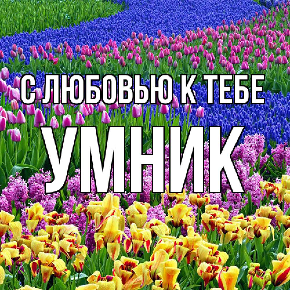 Открытка  с именем. Умник, С любовью к тебе  