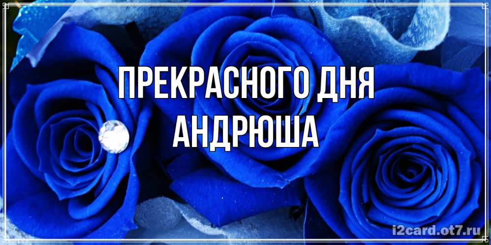 Открытка  с именем. Андрюша, Прекрасного дня  