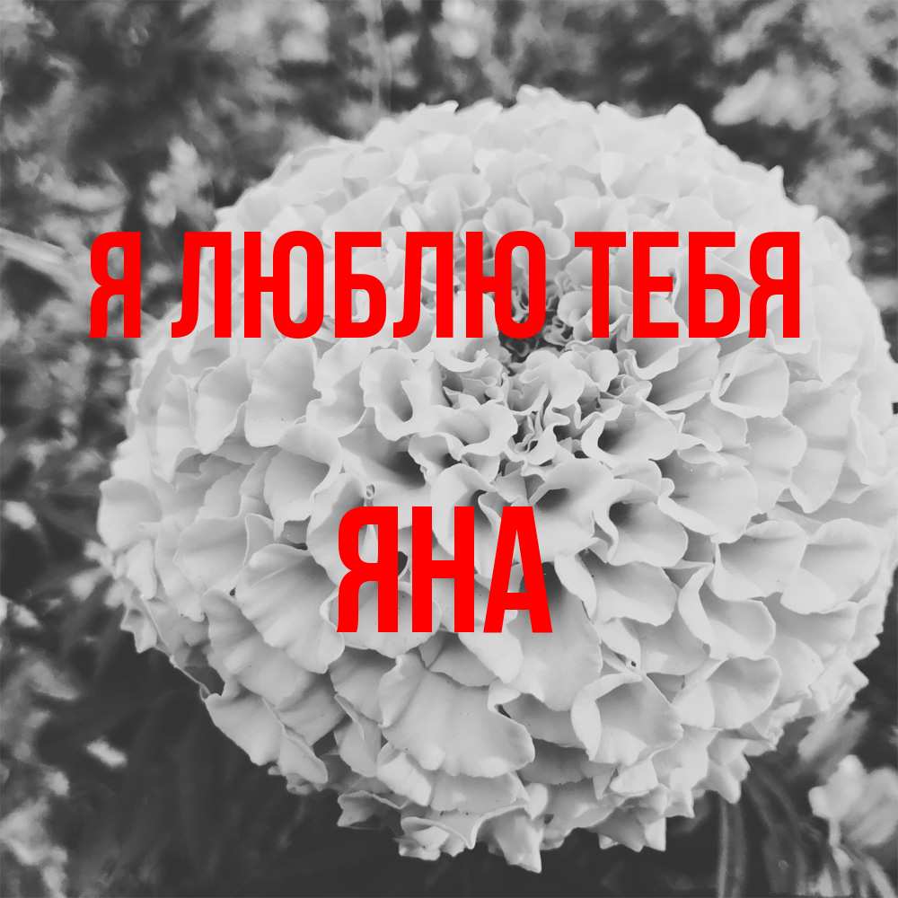 Открытка  с именем. Яна, Я люблю тебя  