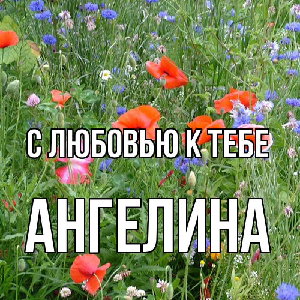Открытка  с именем. Ангелина, С любовью к тебе  