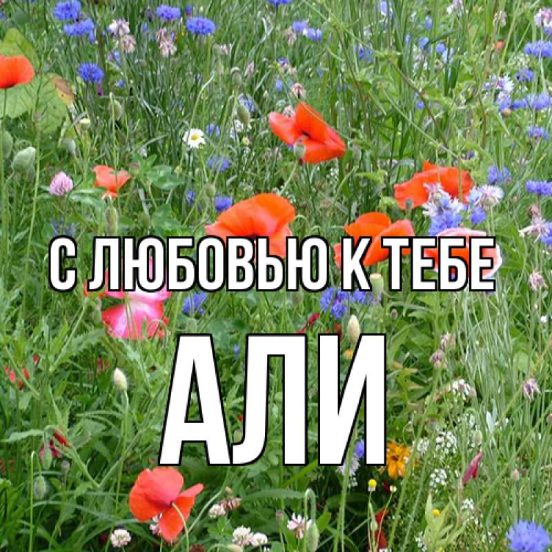 Картинка С любовью к тебе, Али