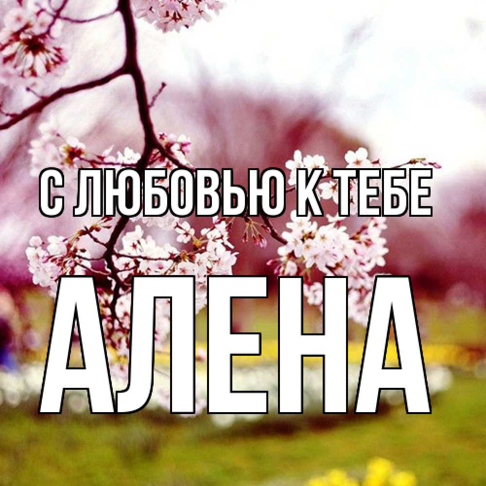 Открытка  с именем. Алена, С любовью к тебе  