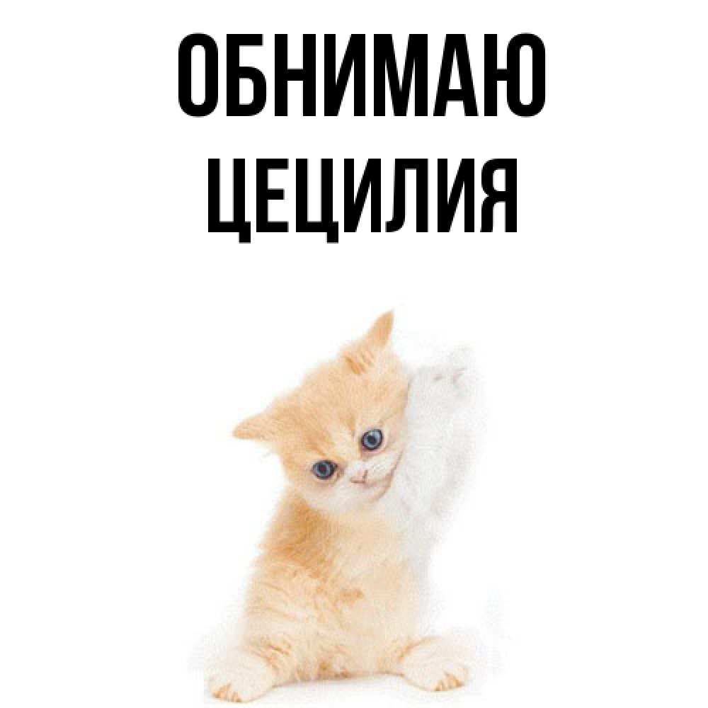 Открытка  с именем. Цецилия, Обнимаю  