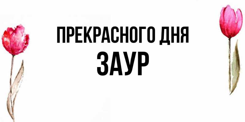 Картинка Прекрасного дня, Заур