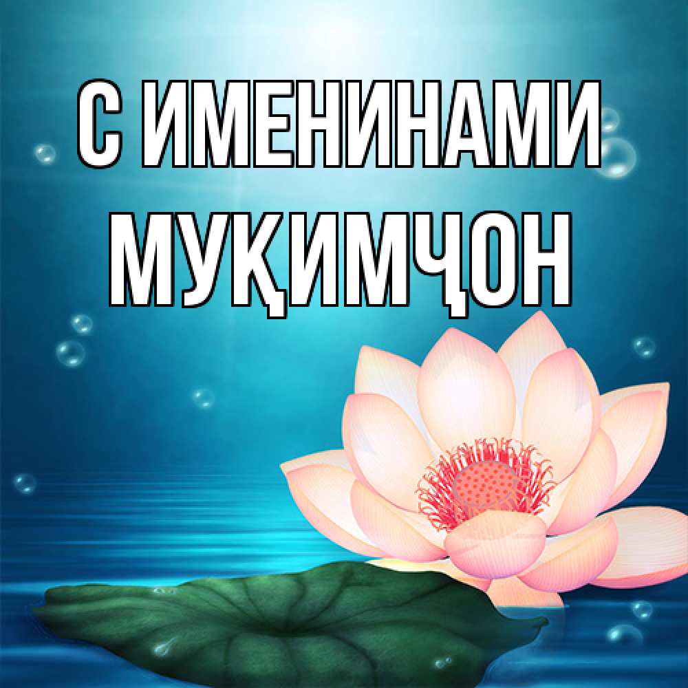 Открытка  с именем. Муқимҷон, С именинами  