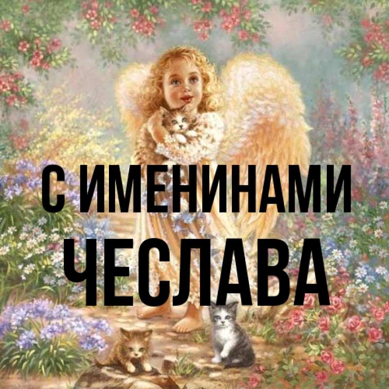 Картинка С именинами, Чеслава