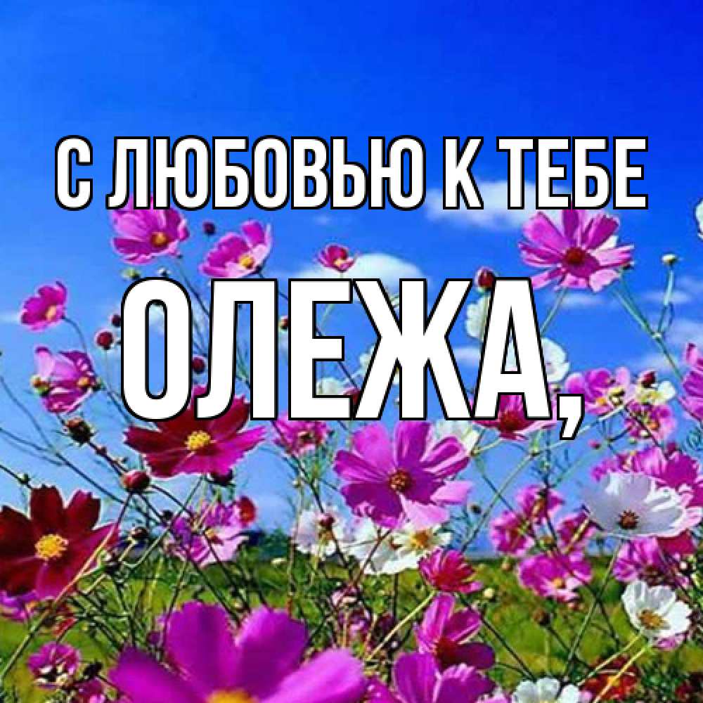 Открытка  с именем. Олежа, С любовью к тебе  