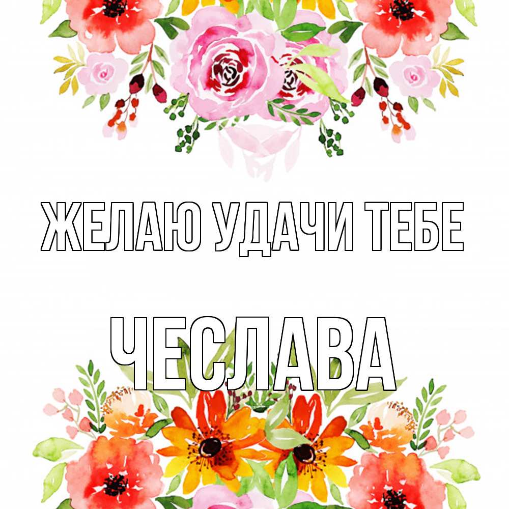 Открытка  с именем. Чеслава, Желаю удачи тебе  