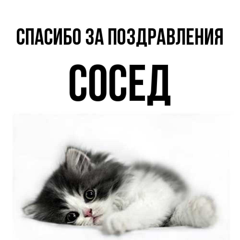 Открытка  с именем. Сосед, Спасибо за поздравления  