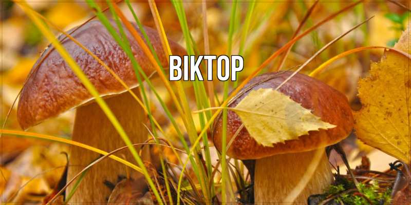 Картинка  с именем , Віктор