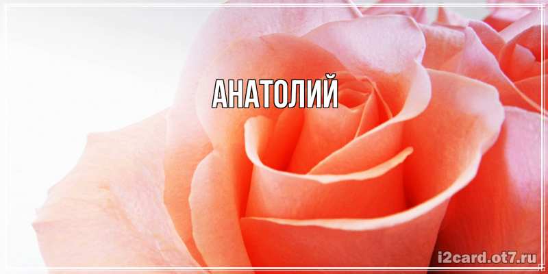Картинка  с именем , Анатолий
