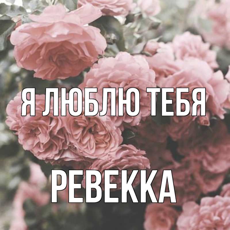 Картинка Я люблю тебя, Ревекка