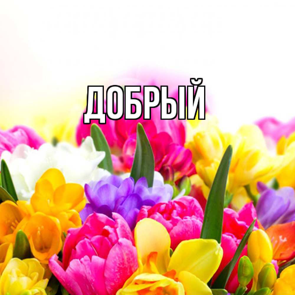 Открытка  с именем. Добрый, Главная  