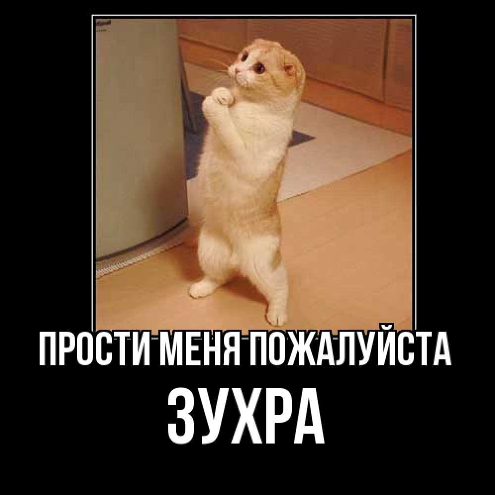 Открытка  с именем. Зухра, Прости меня пожалуйста  