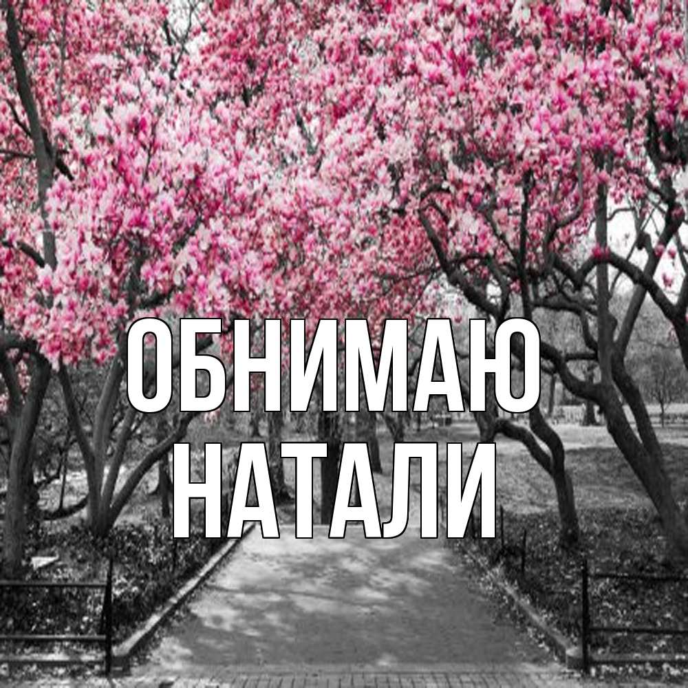 Открытка  с именем. Натали, Обнимаю  