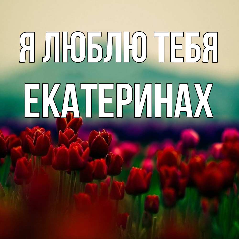 Открытка  с именем. Екатеринах, Я люблю тебя  