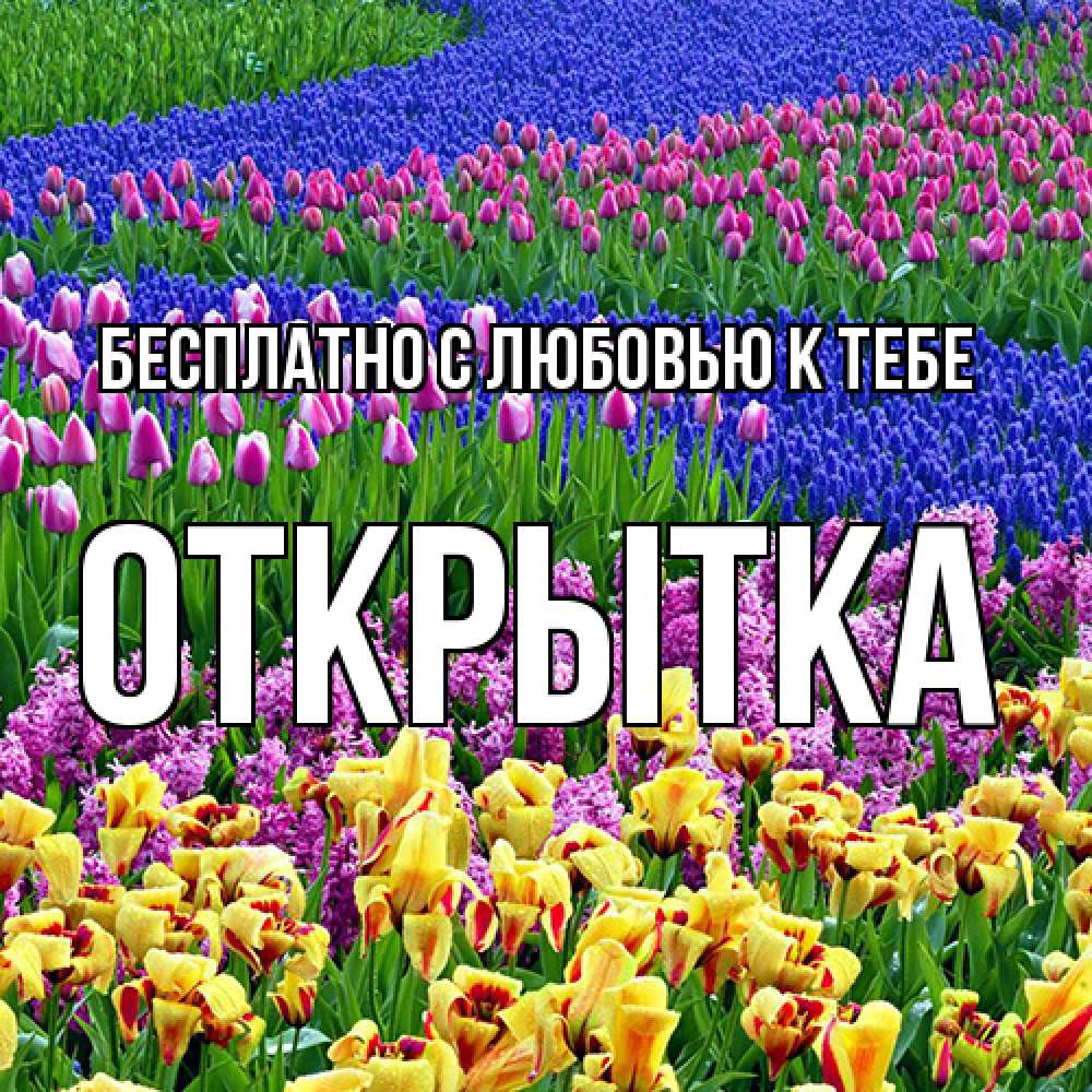 Открытка  с именем. открытка, С любовью к тебе  