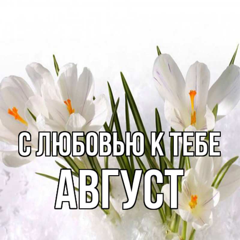 Картинка С любовью к тебе, Август