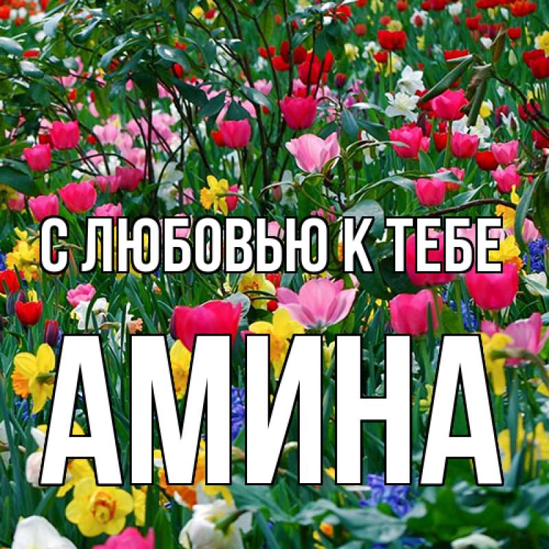 Картинка С любовью к тебе, Амина