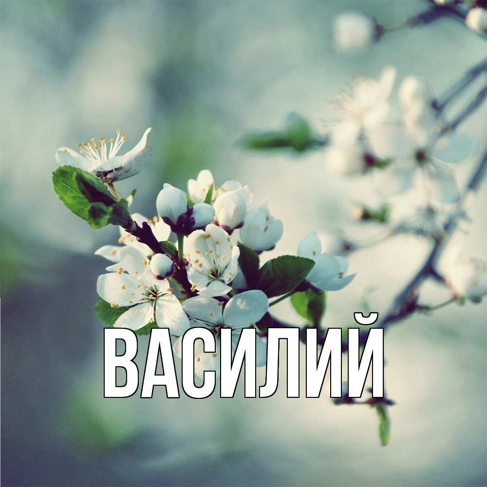 Открытка  с именем. Василий, Главная  