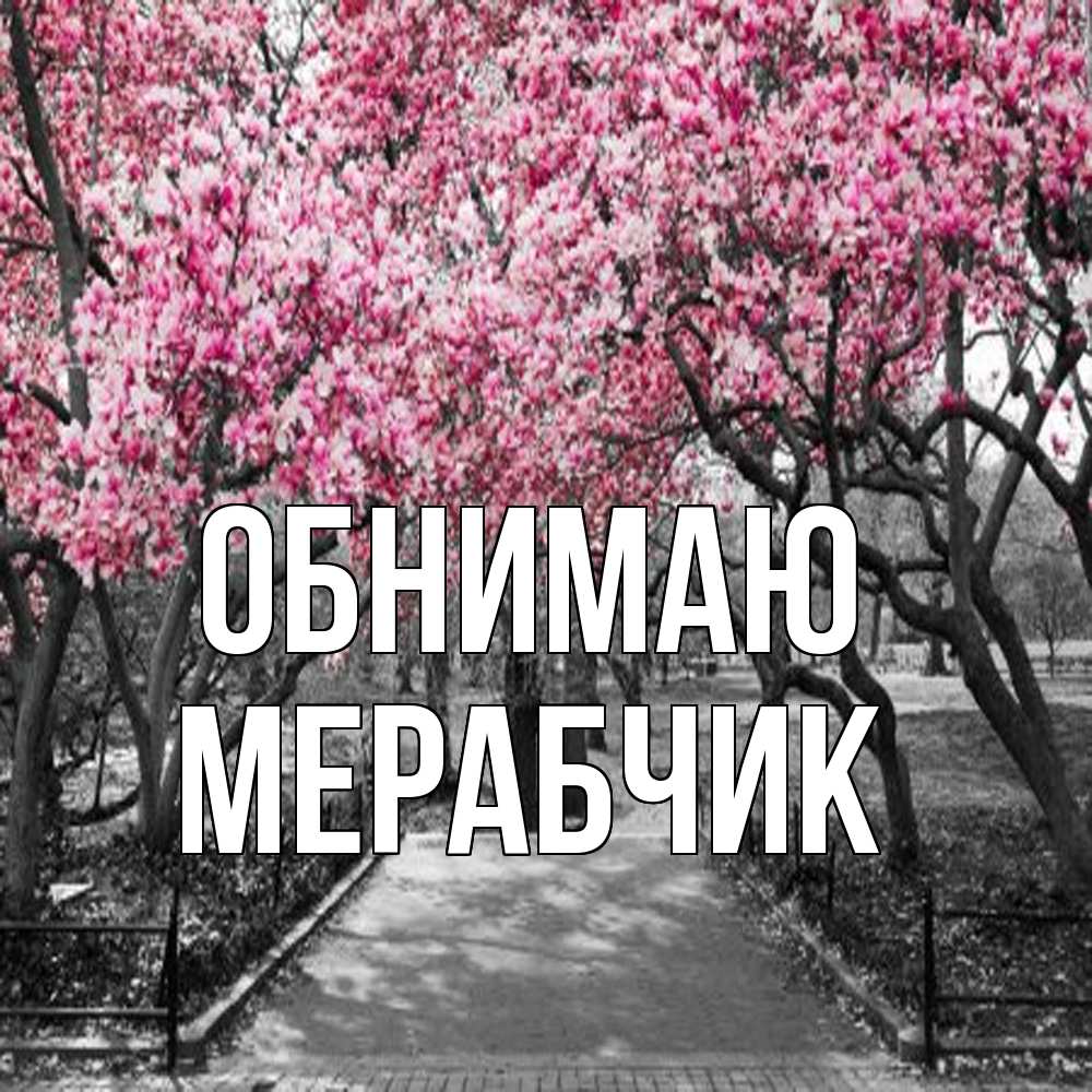 Открытка  с именем. Мерабчик, Обнимаю  