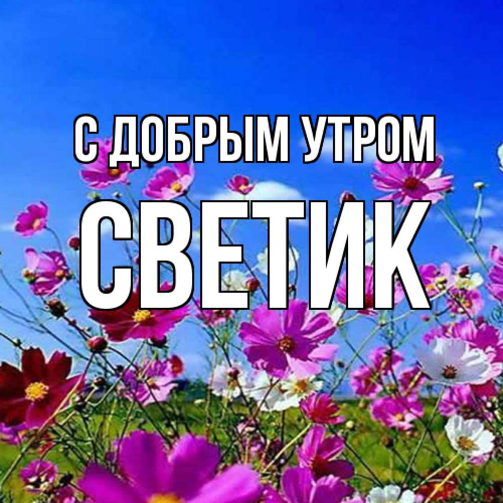 Открытка  с именем. Светик, С добрым утром  