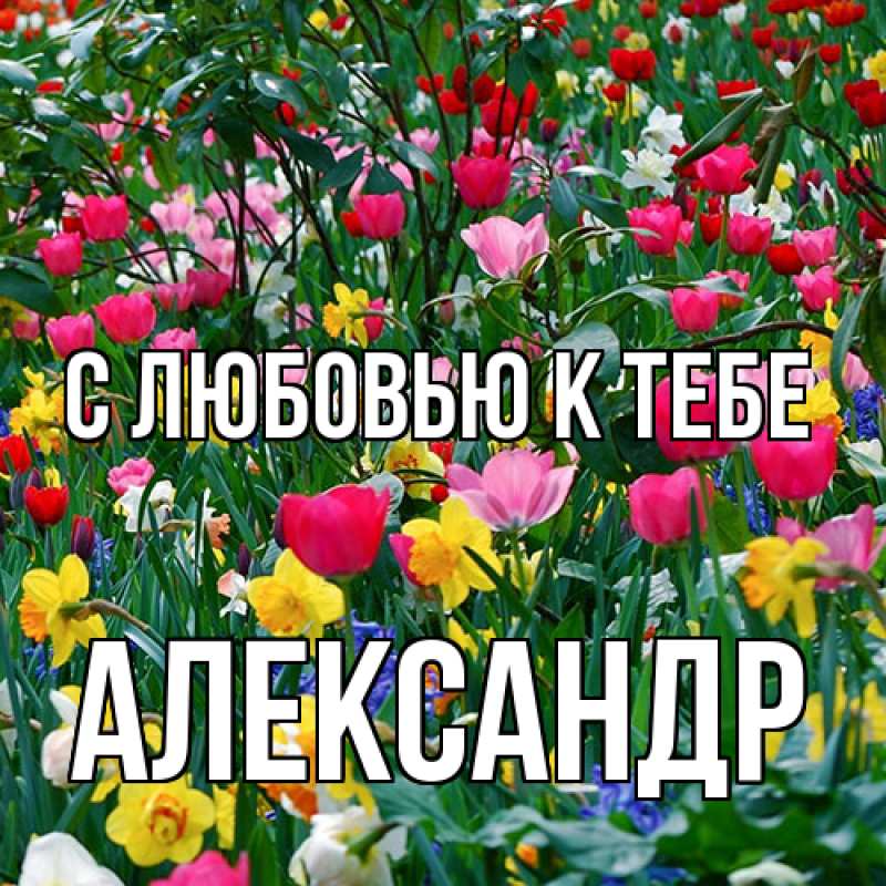 Картинка С любовью к тебе, Александр