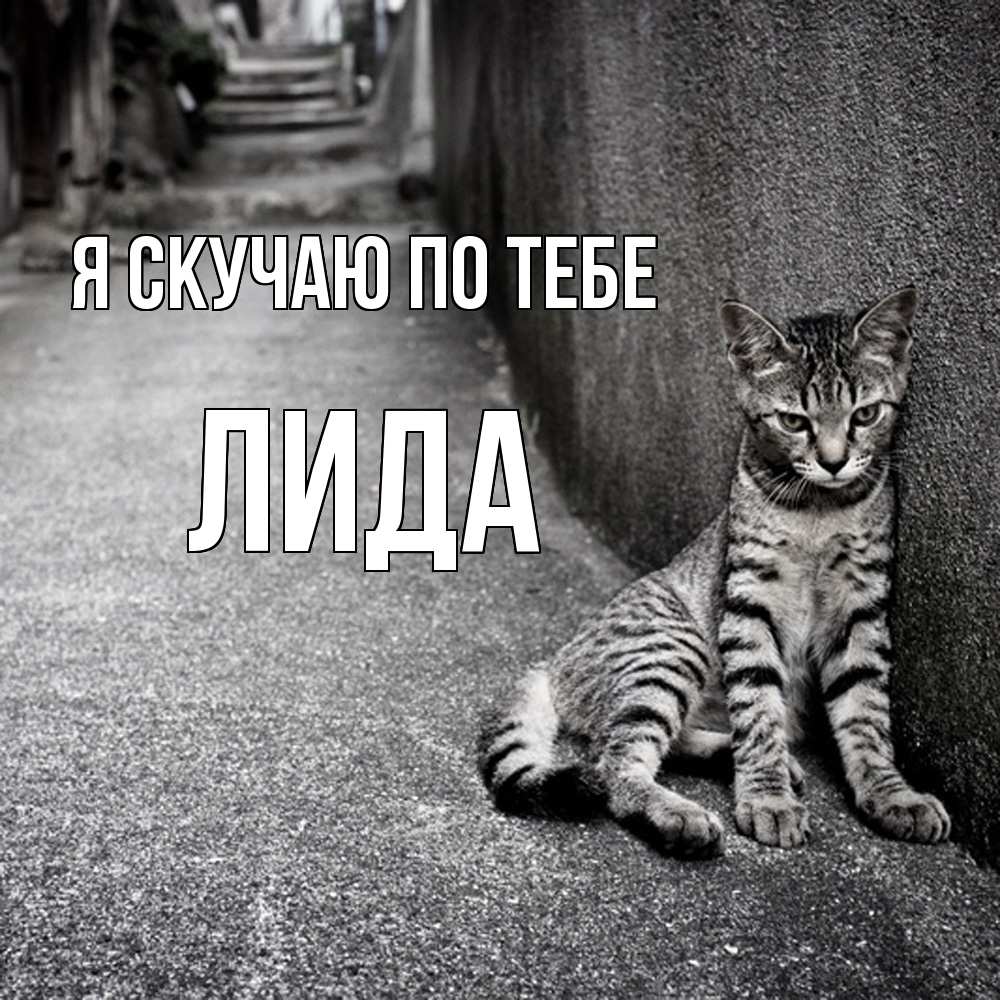 Открытка  с именем. Лида, Я скучаю по тебе  