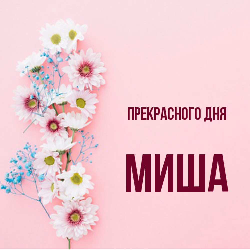 Открытка  с именем. Миша, Прекрасного дня  