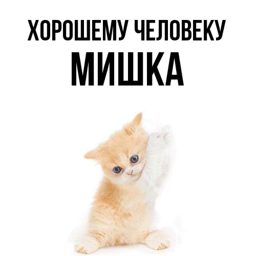 Открытка  с именем. Мишка, Хорошему человеку  