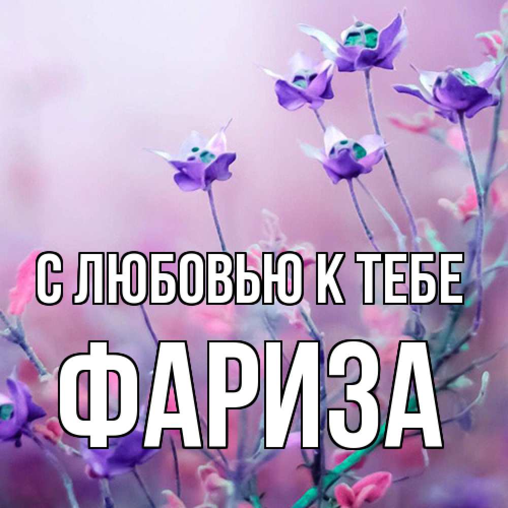 Открытка  с именем. Фариза, С любовью к тебе  