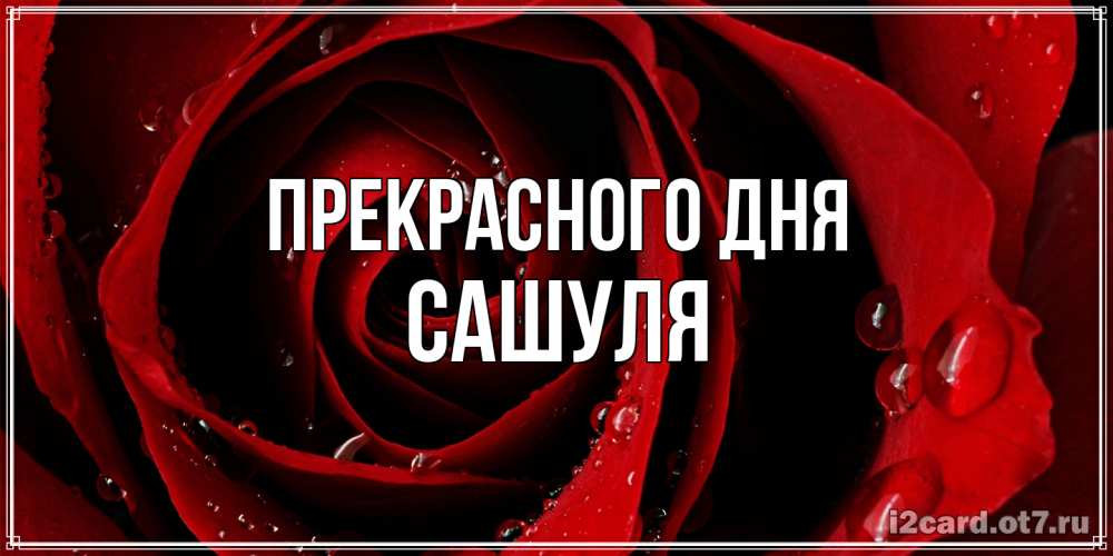 Открытка  с именем. Сашуля, Прекрасного дня  