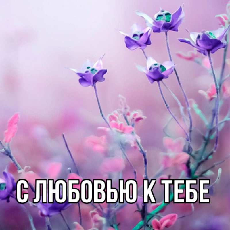 Картинка С любовью к тебе, 