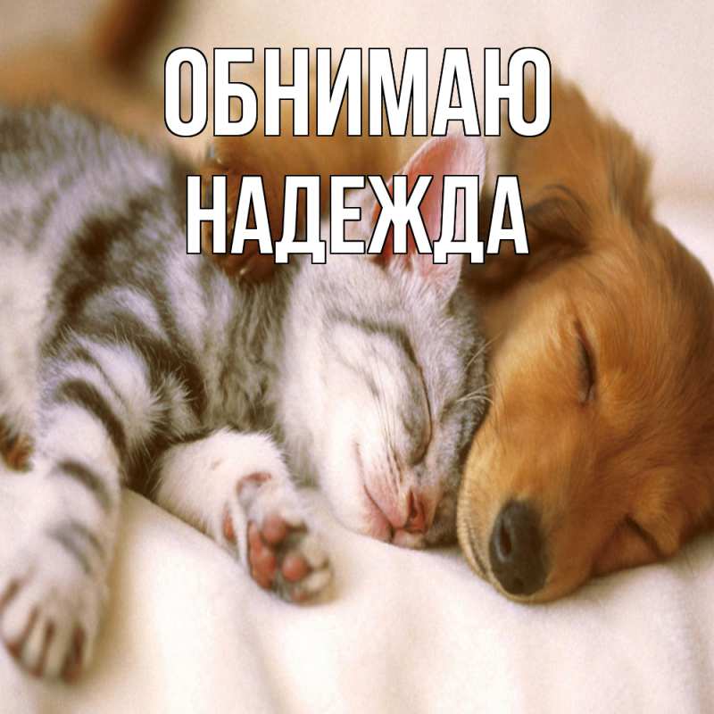 Картинка Обнимаю, Надежда