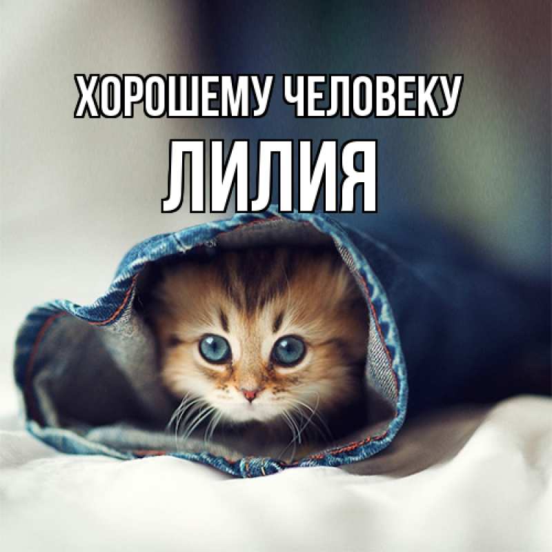 Картинка Хорошему человеку, ЛИлия