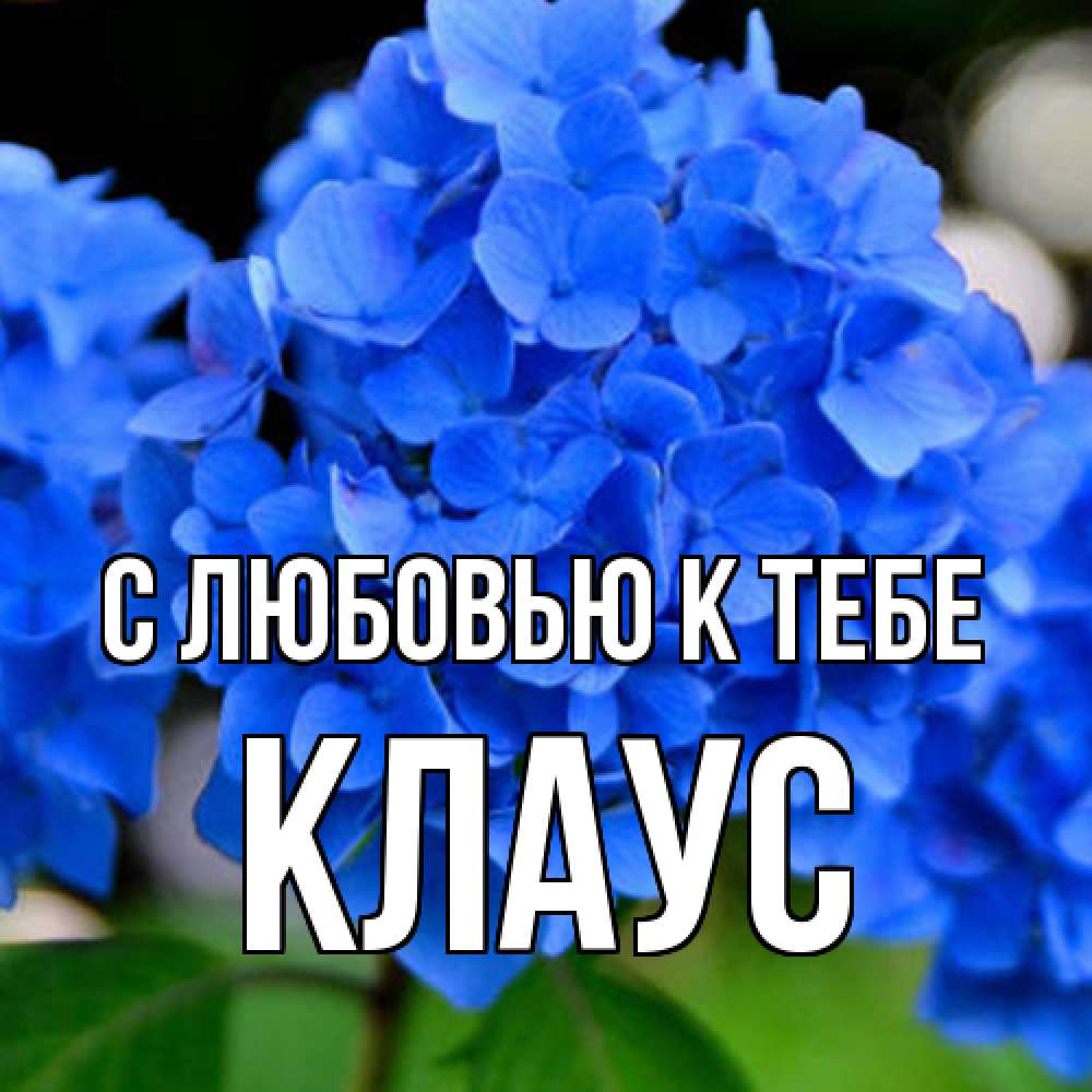 Открытка  с именем. Клаус, С любовью к тебе  