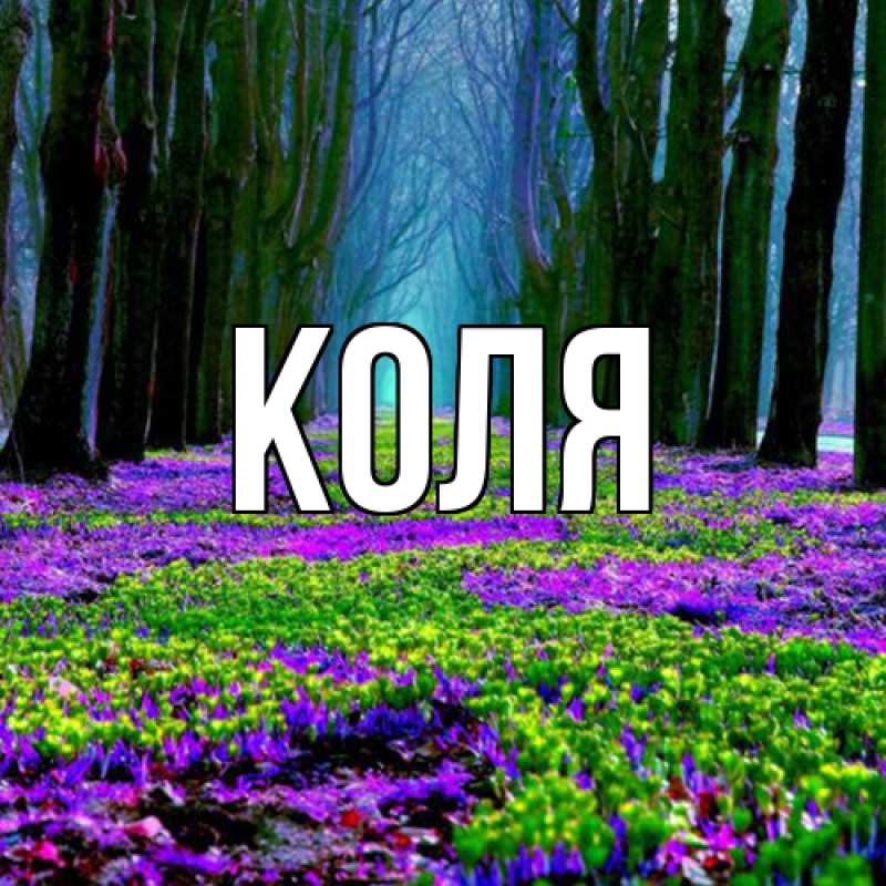 Картинка  с именем , коля