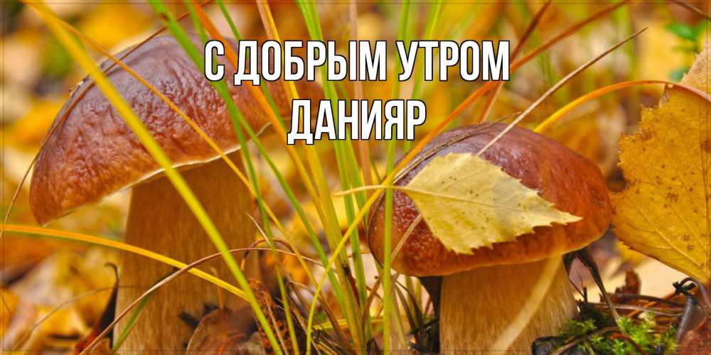 Открытка  с именем. Данияр, С добрым утром  