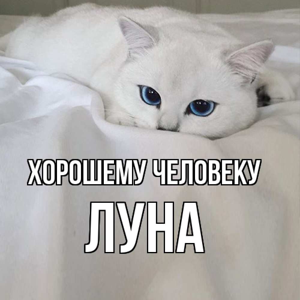 Открытка  с именем. Луна, Хорошему человеку  