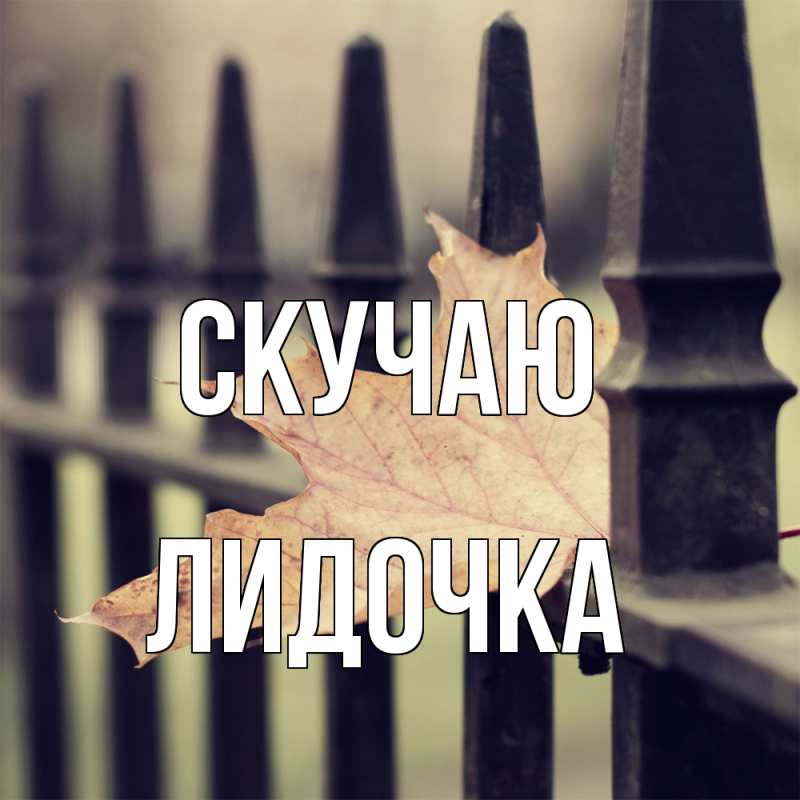 Картинка Скучаю, Лидочка